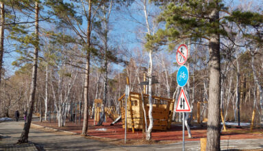 Новая и красивая воркаут площадка на берегу Боровского озера в парке лесников. Вероятно, будет самым посещаемым местом в этом районе. 16 ноября 2025.