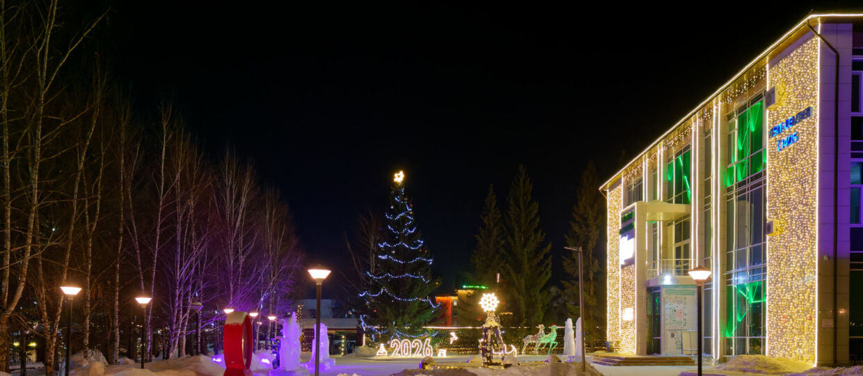 Во второй части новогодние украшения на улицах Борового от Визит-центра до кольцевой развязки. Очень красивая ёлка и вся территория Визит-центра Бурабай, огоньки отелей, школа, улица в центре села, грандиозный отель Windham Garden. 11 января 2026.