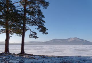 Боровое, п.Окжетпес, январь 2026. Кокшетау Онлайн. Немного картинок из зимнего посёлка Окжетпес. Лес, птички, озеро, памятник воинам-интернационалистам. Тихо, тепло, солнечно, безлюдно. 10 января 2026.