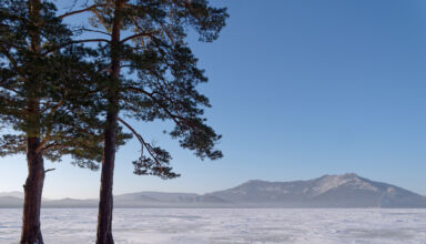 Боровое, п.Окжетпес, январь 2026. Кокшетау Онлайн. Немного картинок из зимнего посёлка Окжетпес. Лес, птички, озеро, памятник воинам-интернационалистам. Тихо, тепло, солнечно, безлюдно. 10 января 2026.