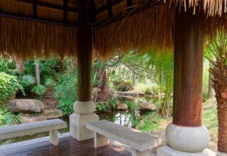 Инфо-тур в рай :) Продолжение 2. За то, что в детстве слушали маму и папу, а потом и Ларису Гладкову из АвиаТурАгентства "Argo-Travel", при жизни побывали в раю. Шикарый отель, огромная территория в горах и джунглях, речки, тропические деревья и цветы, воздух. Всё на отлично! А завтрак лучший из всех, где побывал. В этом альбоме территория отеля. Много ракурсов. 2 - 17 апреля 2026.