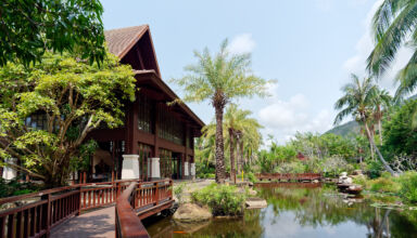 Инфо-тур в рай 🙂 Окончание альбома. За то, что в детстве слушали маму и папу, а потом и Ларису Гладкову из АвиаТурАгентства "Argo-Travel", при жизни побывали в раю. Шикарый отель, огромная территория в горах и джунглях, речки, тропические деревья и цветы, воздух. Всё на отлично! А завтрак лучший из всех, где побывал. В этом альбоме территория отеля. Много ракурсов. 2 - 17 апреля 2026.