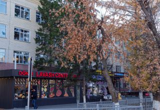 Большая коллекция открыток осеннего города. Ул. Ауэзова, сквер МЧС у Казахского драмтеатра, аллея у обл.акимата, ул.Абая, проспект Назарбаева. Тихо, относительно тепло, солнечно. Много ракурсов в коллекцию. 30 октября 2026.